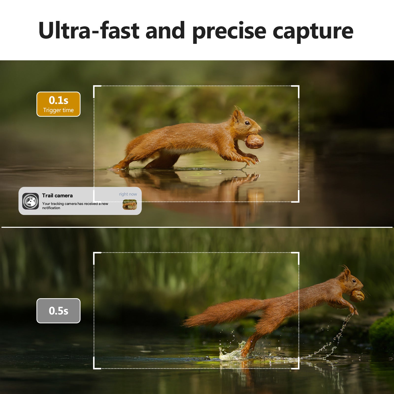 4G LTE GPS Hunting Outdoor Trail Camera Wide Angle 4MP Camouflage Wildlife Deer Monitoring Solar Hunt Camera